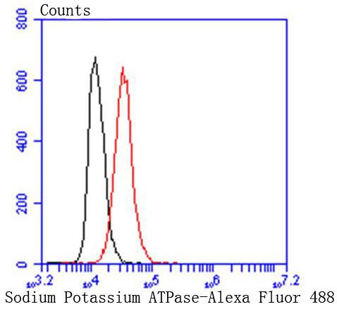 Sodium Potassium ATPase Antibody in Flow Cytometry (Flow)