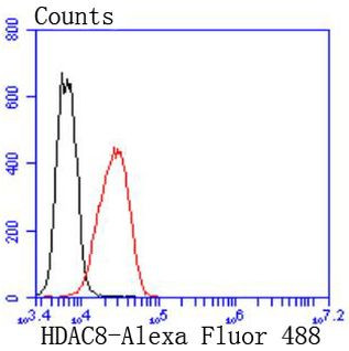 HDAC8 Antibody in Flow Cytometry (Flow)