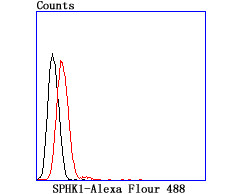 SPHK1 Antibody in Flow Cytometry (Flow)
