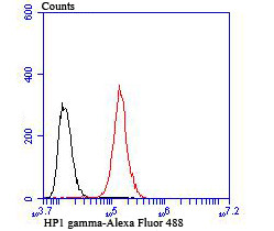 HP1 gamma Antibody in Flow Cytometry (Flow)