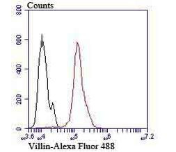 Villin Antibody in Flow Cytometry (Flow)
