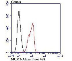 MCM3 Antibody in Flow Cytometry (Flow)