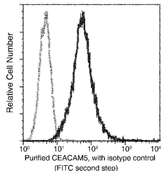 CEACAM5 Antibody in Flow Cytometry (Flow)