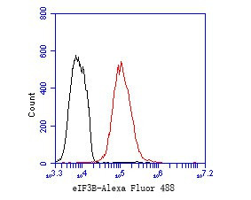 eIF3b Antibody in Flow Cytometry (Flow)