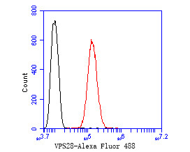 VPS28 Antibody in Flow Cytometry (Flow)