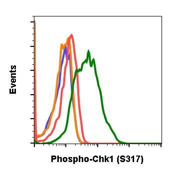 Phospho-Chk1 (Ser317) Antibody in Flow Cytometry (Flow)