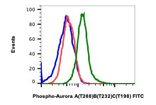 Phospho-Aurora A/B/C (Thr288, Thr232, Thr198) Antibody in Flow Cytometry (Flow)