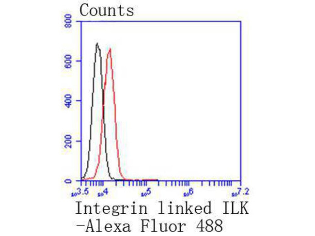 ILK Antibody in Flow Cytometry (Flow)
