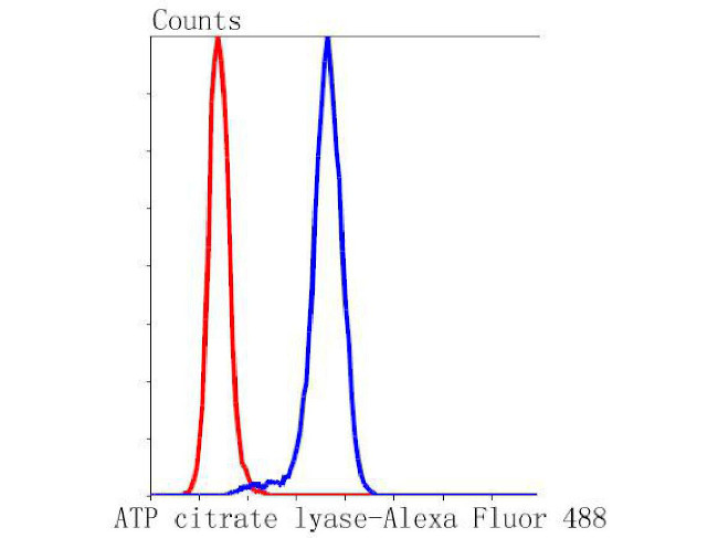 ATP Citrate Lyase Antibody in Flow Cytometry (Flow)