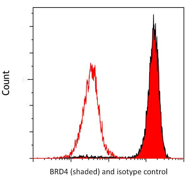 BRD4 Antibody in Flow Cytometry (Flow)