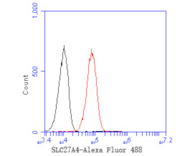 SLC27A4 Antibody in Flow Cytometry (Flow)