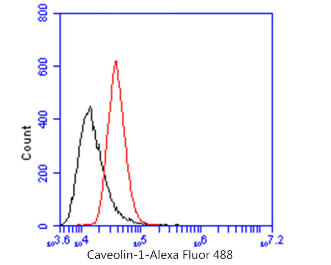 Caveolin 1 Antibody in Flow Cytometry (Flow)