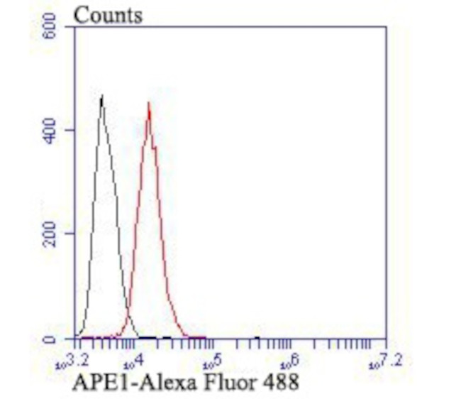 APE1 Antibody in Flow Cytometry (Flow)