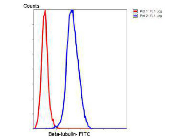 beta Tubulin Antibody in Flow Cytometry (Flow)
