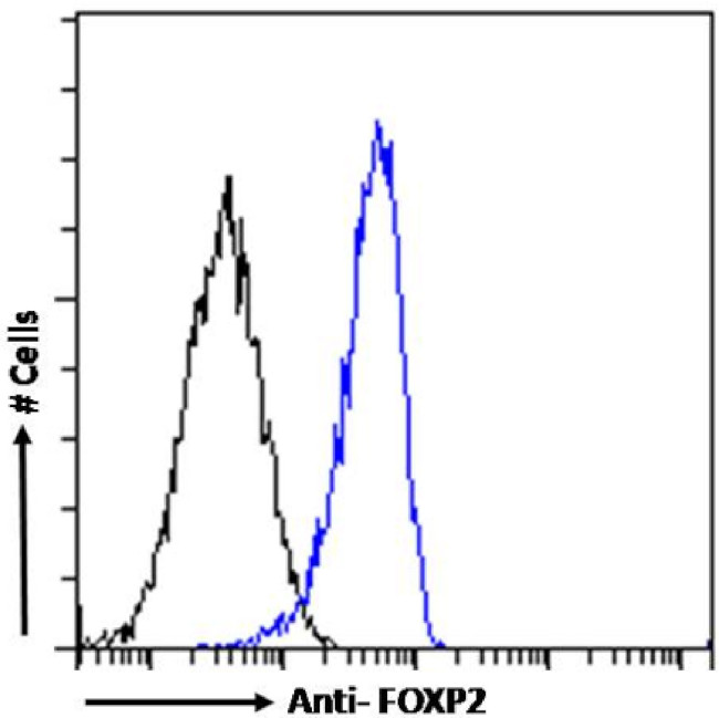 FOXP2 Chimeric Antibody in Flow Cytometry (Flow)