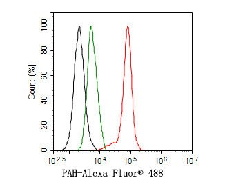 PAH Antibody in Flow Cytometry (Flow)