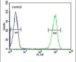 TMEM57 Antibody in Flow Cytometry (Flow)