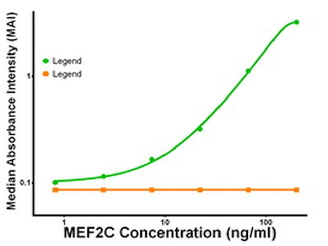 MEF2C Antibody in ELISA (ELISA)