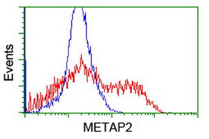 METAP2 Antibody in Flow Cytometry (Flow)