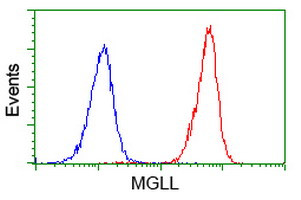 MGLL Antibody in Flow Cytometry (Flow)