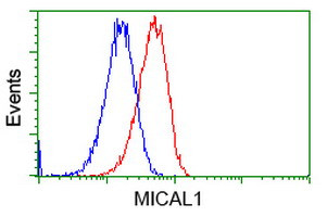 MICAL1 Antibody in Flow Cytometry (Flow)
