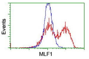MLF1 Antibody in Flow Cytometry (Flow)