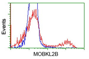 MOBKL2B Antibody in Flow Cytometry (Flow)