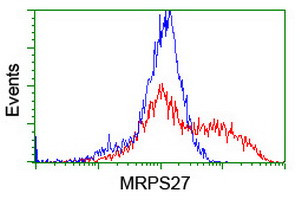 MRPS27 Antibody in Flow Cytometry (Flow)