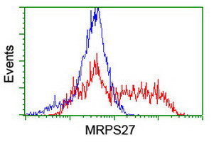 MRPS27 Antibody in Flow Cytometry (Flow)