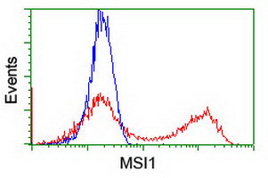 MSI1 Antibody in Flow Cytometry (Flow)