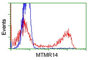 MTMR14 Antibody in Flow Cytometry (Flow)