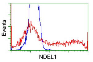 NDEL1 Antibody in Flow Cytometry (Flow)