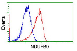 NDUFB9 Antibody in Flow Cytometry (Flow)