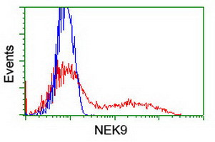 NEK9 Antibody in Flow Cytometry (Flow)