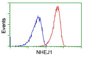 NHEJ1 Antibody in Flow Cytometry (Flow)
