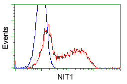 NIT1 Antibody in Flow Cytometry (Flow)
