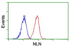 NLN Antibody in Flow Cytometry (Flow)