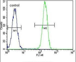 NPM1 Antibody in Flow Cytometry (Flow)