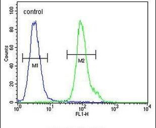 NPM3 Antibody in Flow Cytometry (Flow)