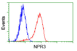 NPR3 Antibody in Flow Cytometry (Flow)