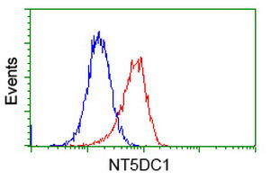 NT5DC1 Antibody in Flow Cytometry (Flow)
