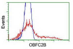 OBFC2B Antibody in Flow Cytometry (Flow)