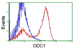ODC1 Antibody in Flow Cytometry (Flow)