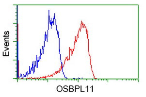 OSBPL11 Antibody in Flow Cytometry (Flow)