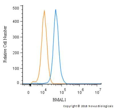 BMAL1 Antibody in Flow Cytometry (Flow)