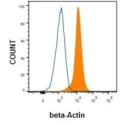 beta Actin Antibody in Flow Cytometry (Flow)
