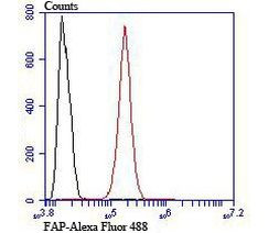 FAP Antibody in Flow Cytometry (Flow)