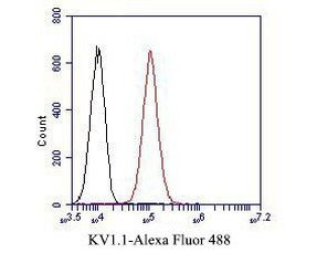 KV1.1 (KCNA1) Antibody in Flow Cytometry (Flow)