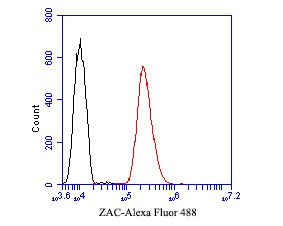 ZACN Antibody in Flow Cytometry (Flow)