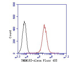 TMEM163 Antibody in Flow Cytometry (Flow)